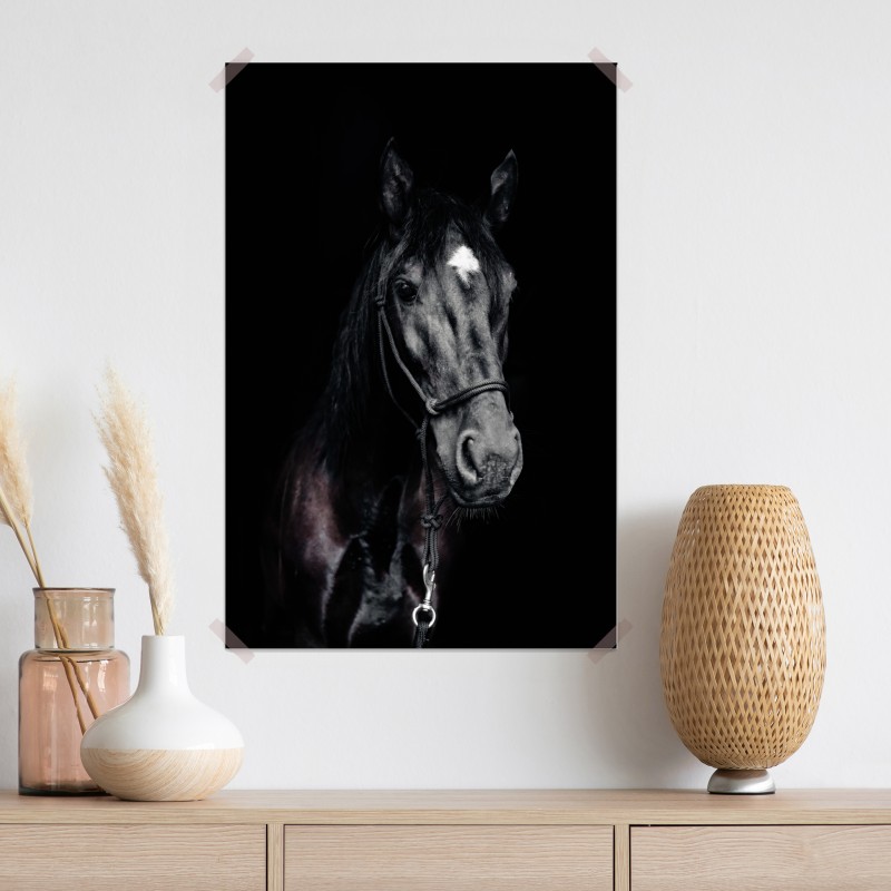 Plakat majestatyczny portret konia – Wallissimo® Plakat majestatyczny portret konia – Wallissimo®