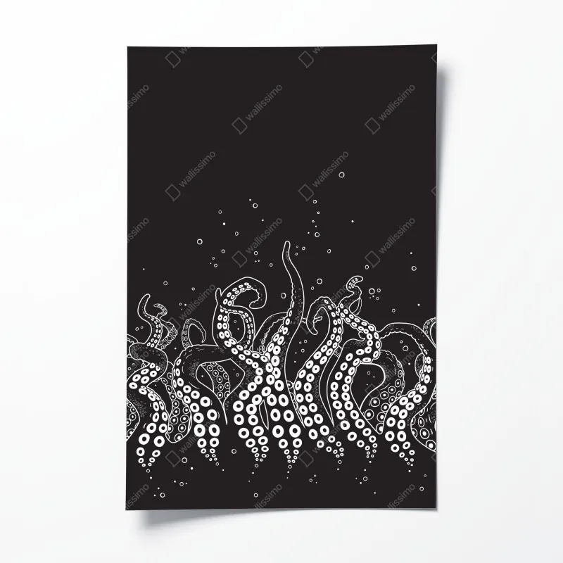 Plakat wzór macek ośmiornicy