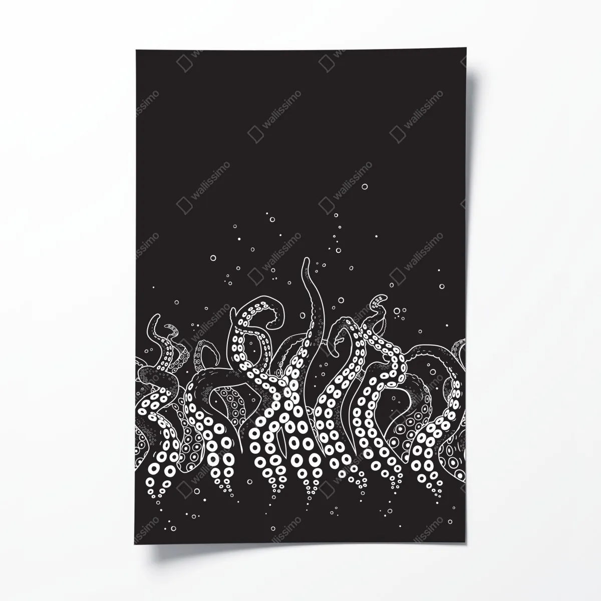 Plakat wzór macek ośmiornicy – Wallissimo® Plakat wzór macek ośmiornicy – Wallissimo®