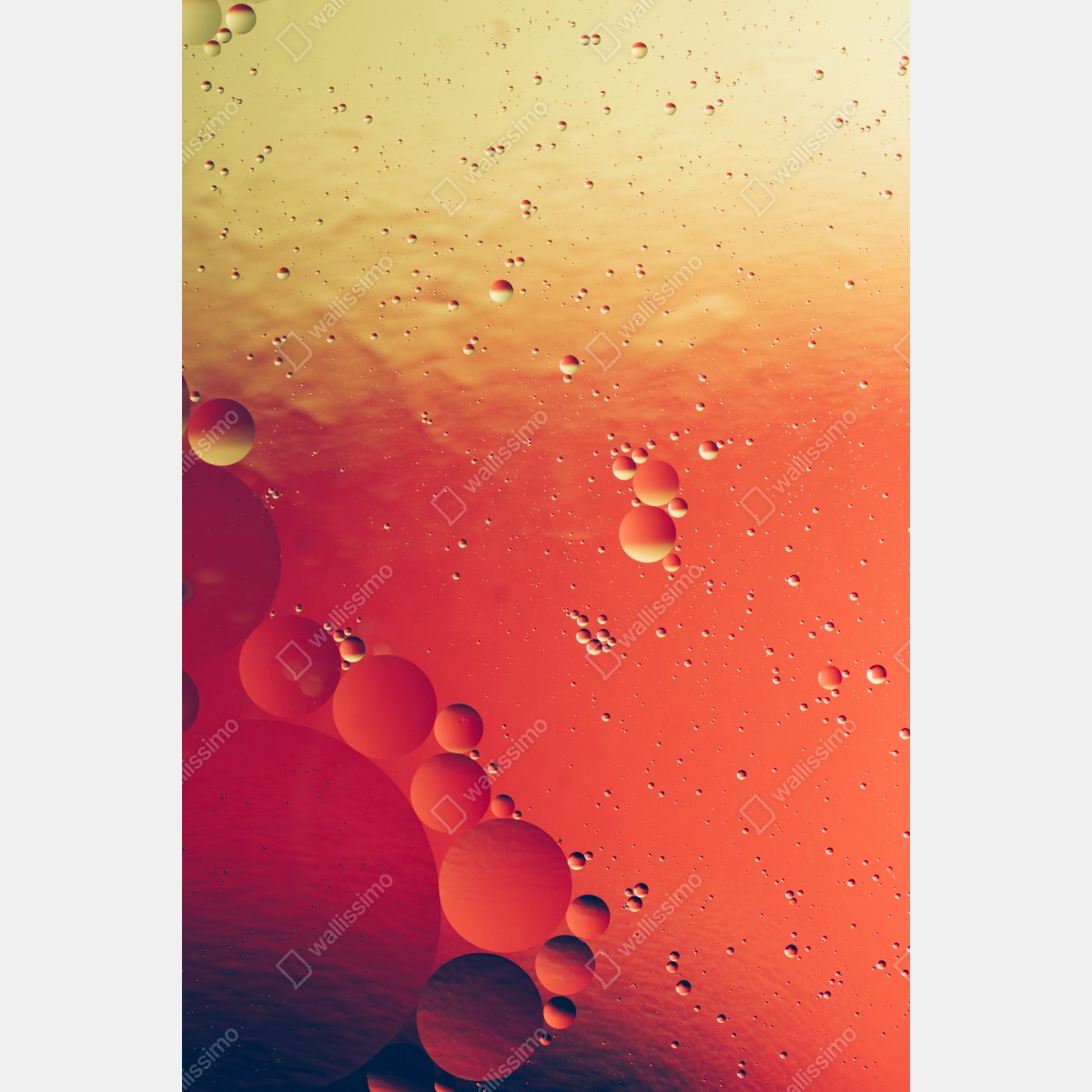 Plakat ciepła pomarańczowa abstrakcja z bąbelkami – Wallissimo® Plakat ciepła pomarańczowa abstrakcja z bąbelkami – Wallissimo®