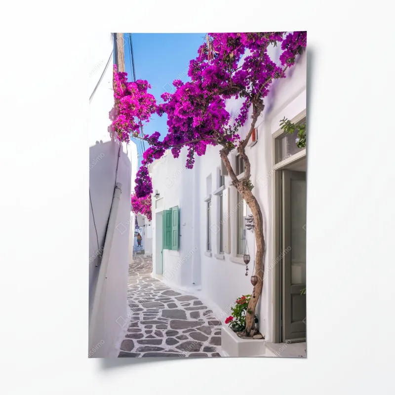 Plakat słoneczna śródziemnomorska uliczka z bugenwillą