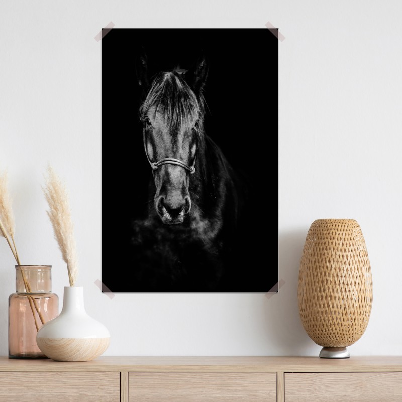 Plakat dramatyczny portret konia w monochromie – Wallissimo® Plakat dramatyczny portret konia w monochromie – Wallissimo®
