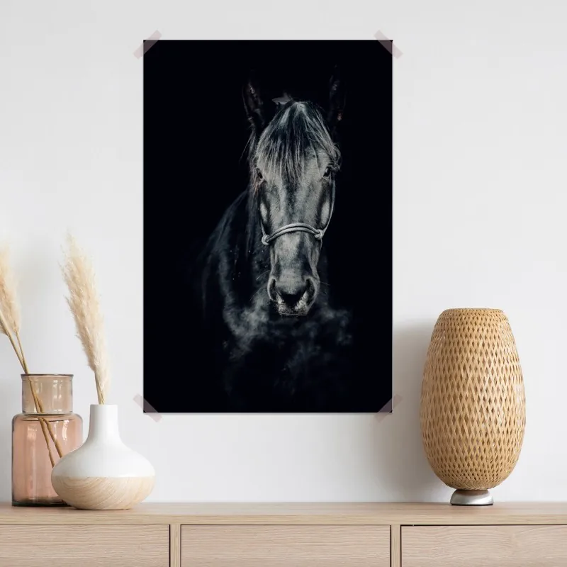 Plakat majestatyczny czarny portret konia – Wallissimo® Plakat majestatyczny czarny portret konia – Wallissimo®