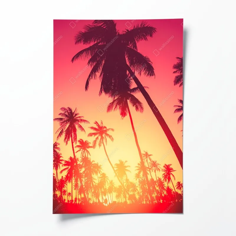 Plakat tropikalny zachód słońca z palmami