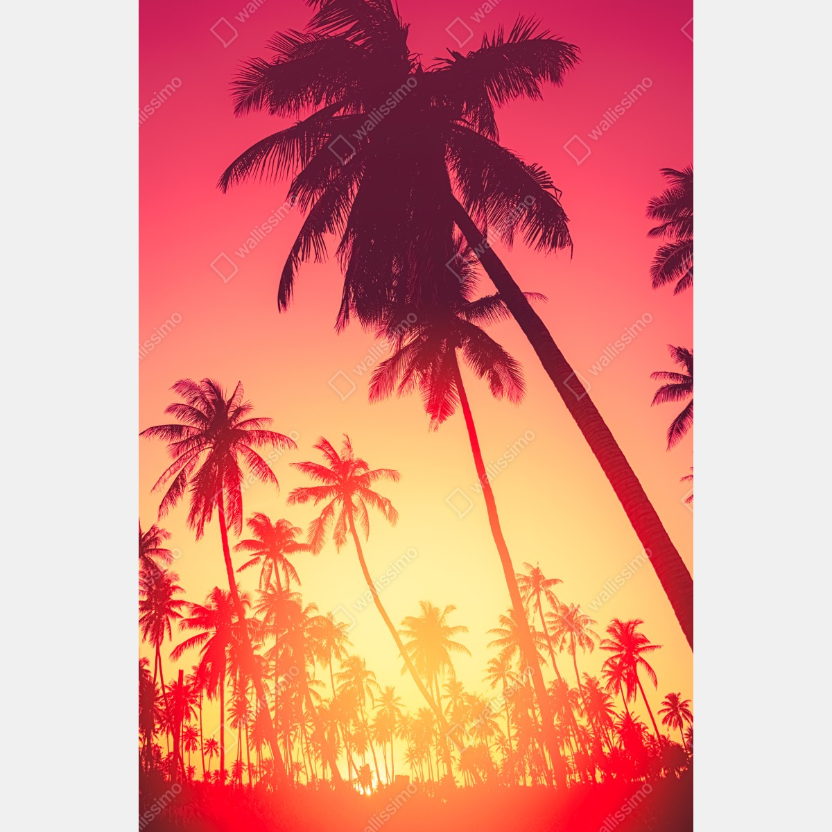 Plakat tropikalny zachód słońca z palmami – Wallissimo® Plakat tropikalny zachód słońca z palmami – Wallissimo®