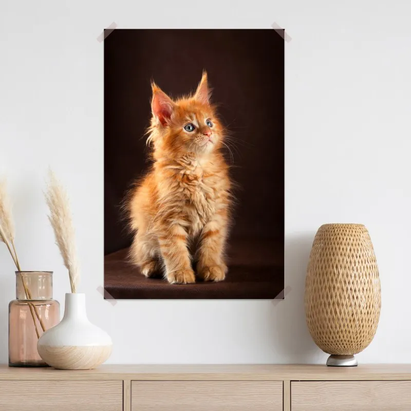 Plakat uroczy rudy kociak w portrecie – Wallissimo® Plakat uroczy rudy kociak w portrecie – Wallissimo®