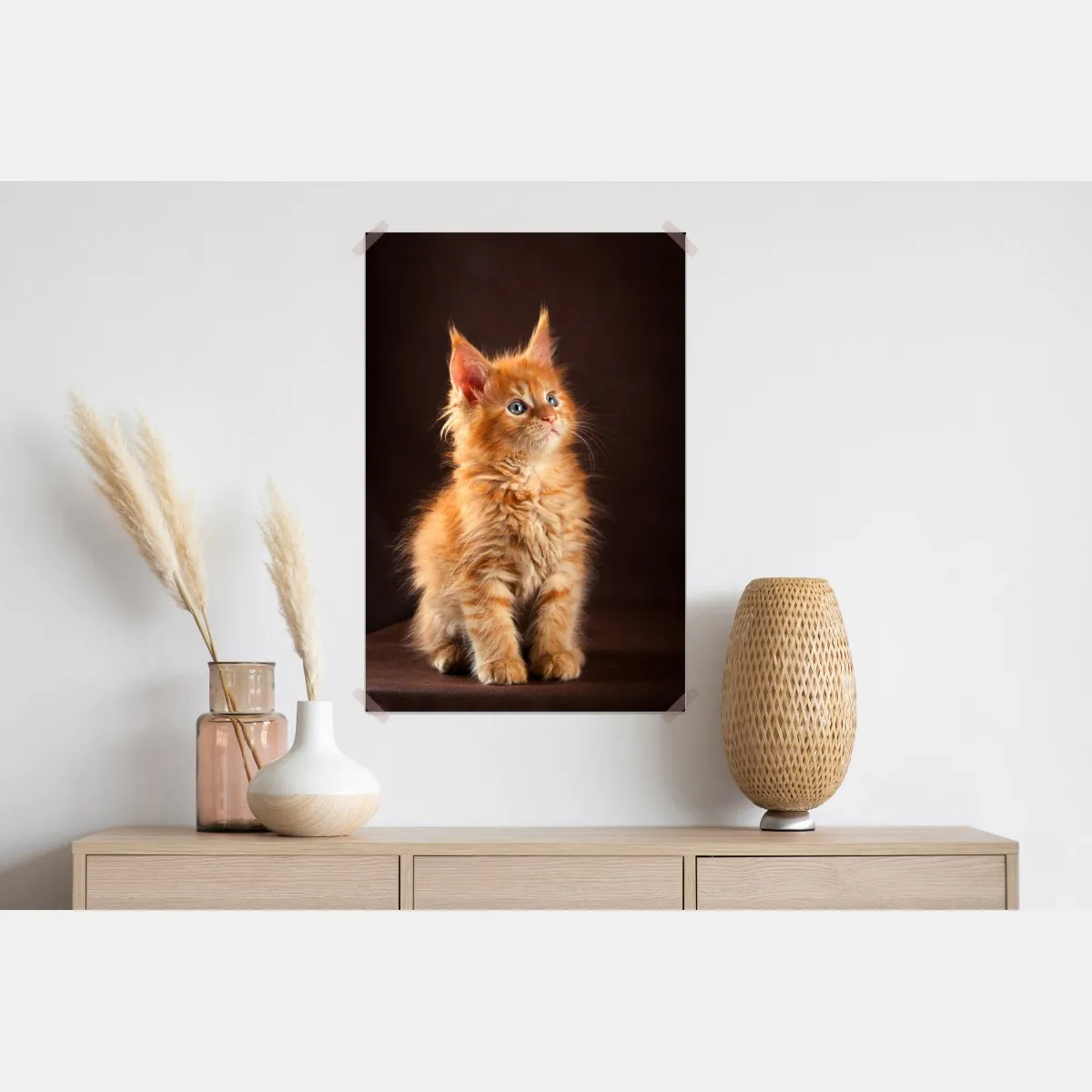 Plakat uroczy rudy kociak w portrecie – Wallissimo® Plakat uroczy rudy kociak w portrecie – Wallissimo®