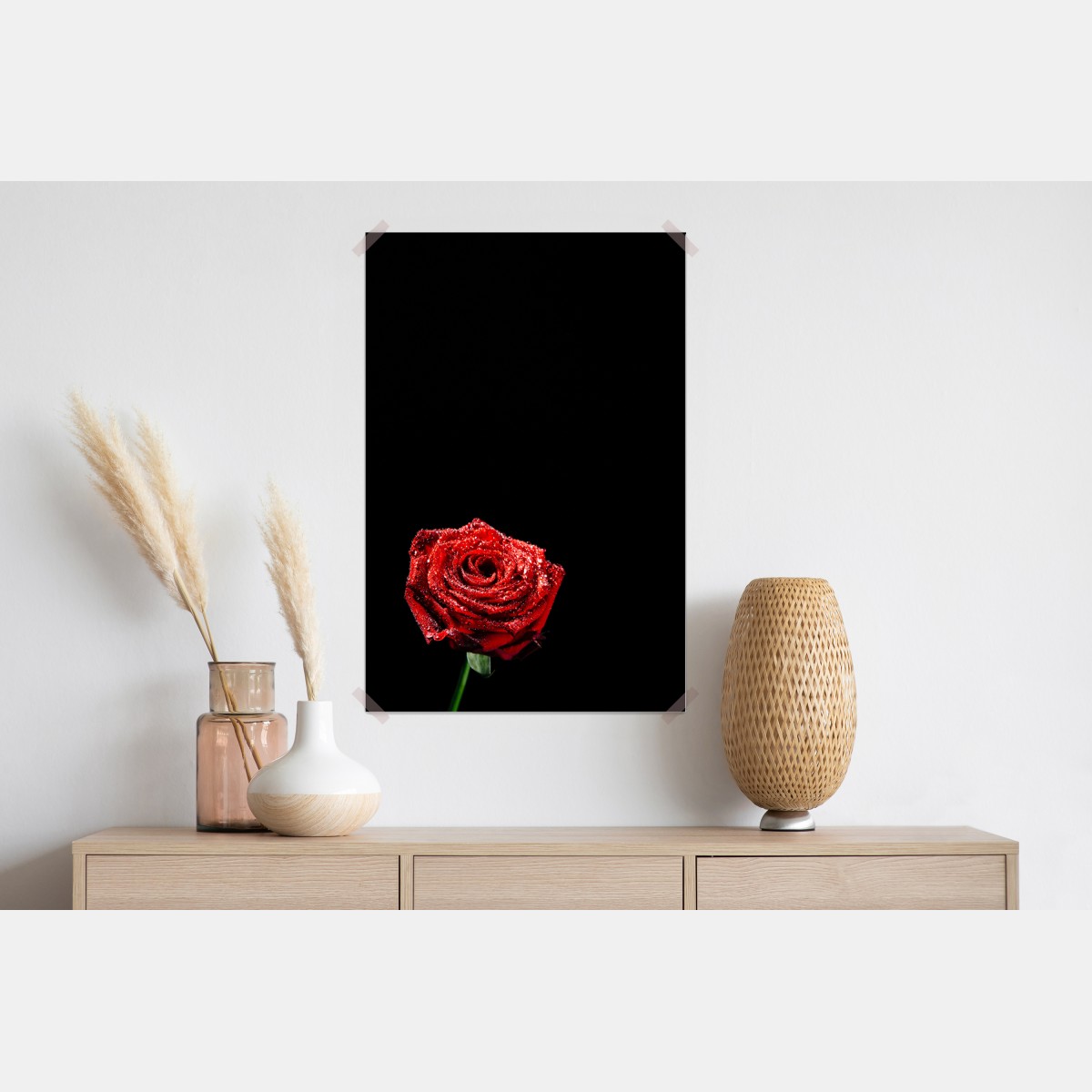 Plakat czerwona róża z kroplami rosy na czarnym tle – Wallissimo® Plakat czerwona róża z kroplami rosy na czarnym tle – Wallissimo®