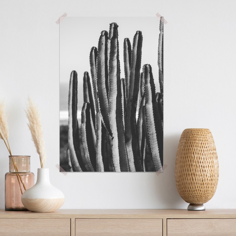 Plakat czarno-biały kaktus w zbliżeniu – Wallissimo® Plakat czarno-biały kaktus w zbliżeniu – Wallissimo®