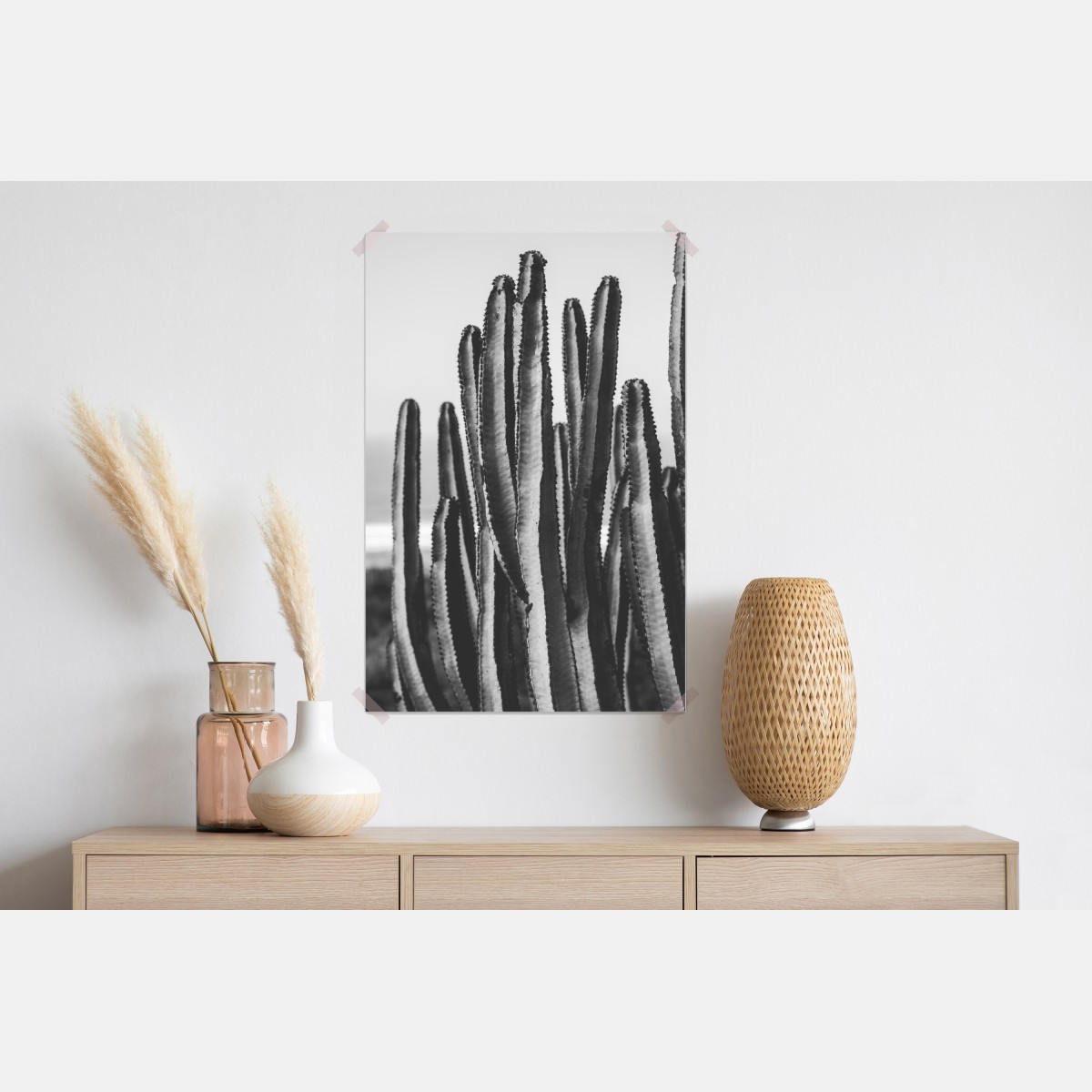 Plakat czarno-biały kaktus w zbliżeniu – Wallissimo® Plakat czarno-biały kaktus w zbliżeniu – Wallissimo®