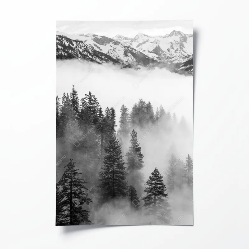 Plakat mglisty las Giant Forest, Sequoia National Park