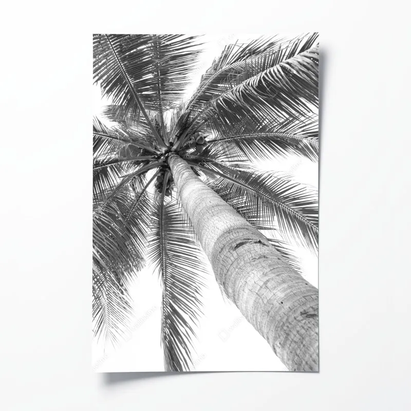 Plakat monochromatyczna palma z perspektywy
