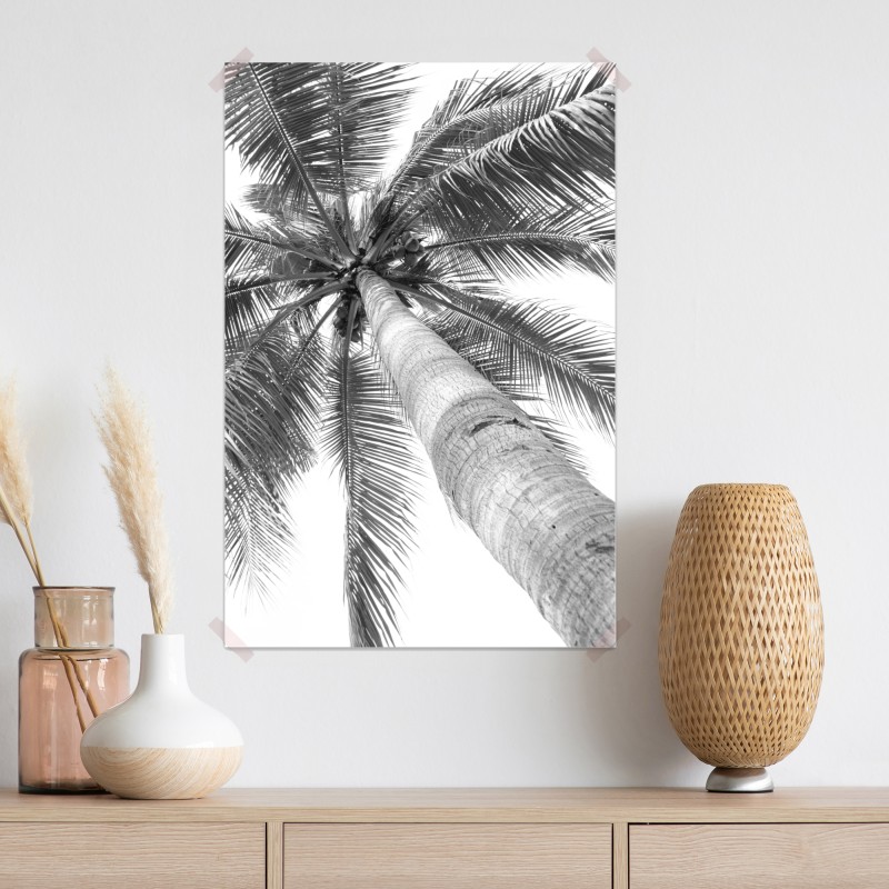 Plakat monochromatyczna palma z perspektywy – Wallissimo® Plakat monochromatyczna palma z perspektywy – Wallissimo®