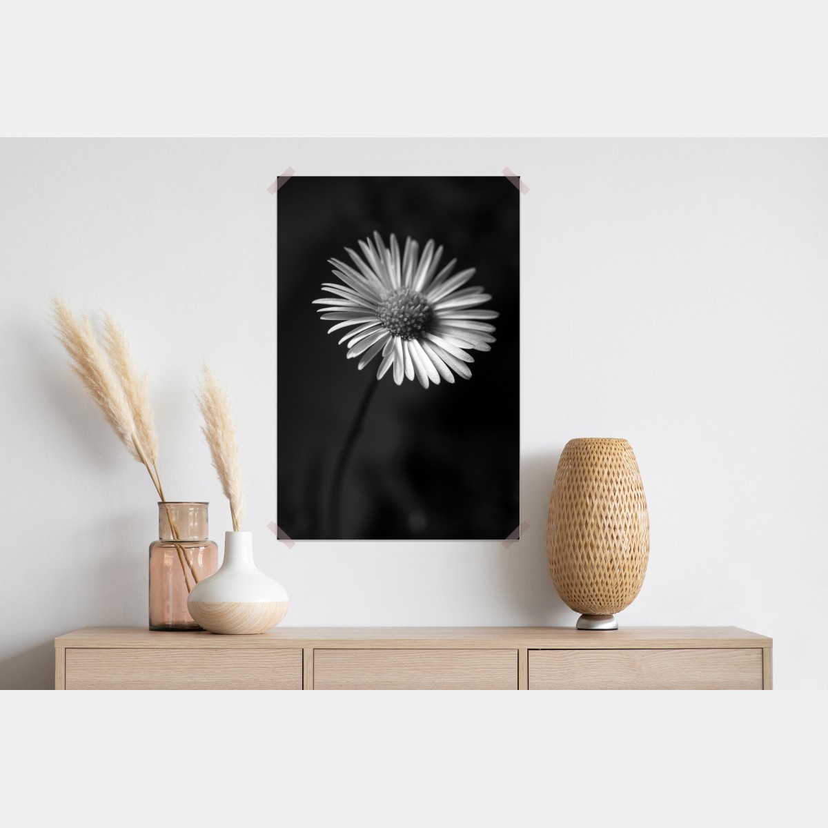 Plakat monochromatyczna stokrotka w zbliżeniu – Wallissimo® Plakat monochromatyczna stokrotka w zbliżeniu – Wallissimo®