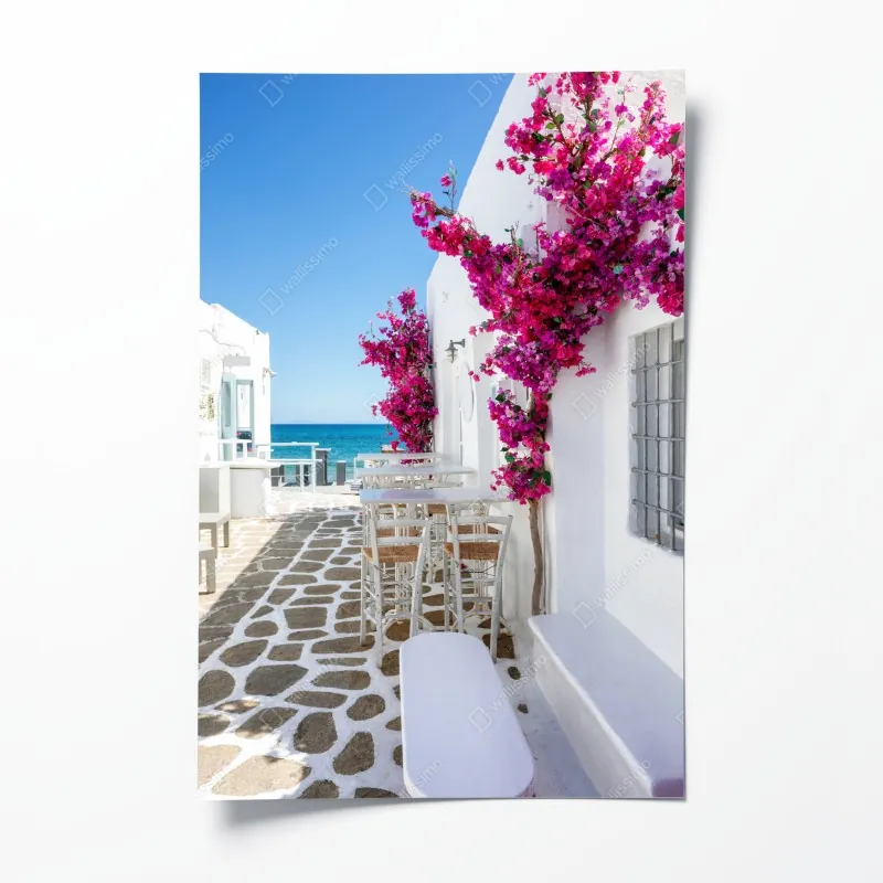 Plakat słoneczna śródziemnomorska alejka z bugenwillą