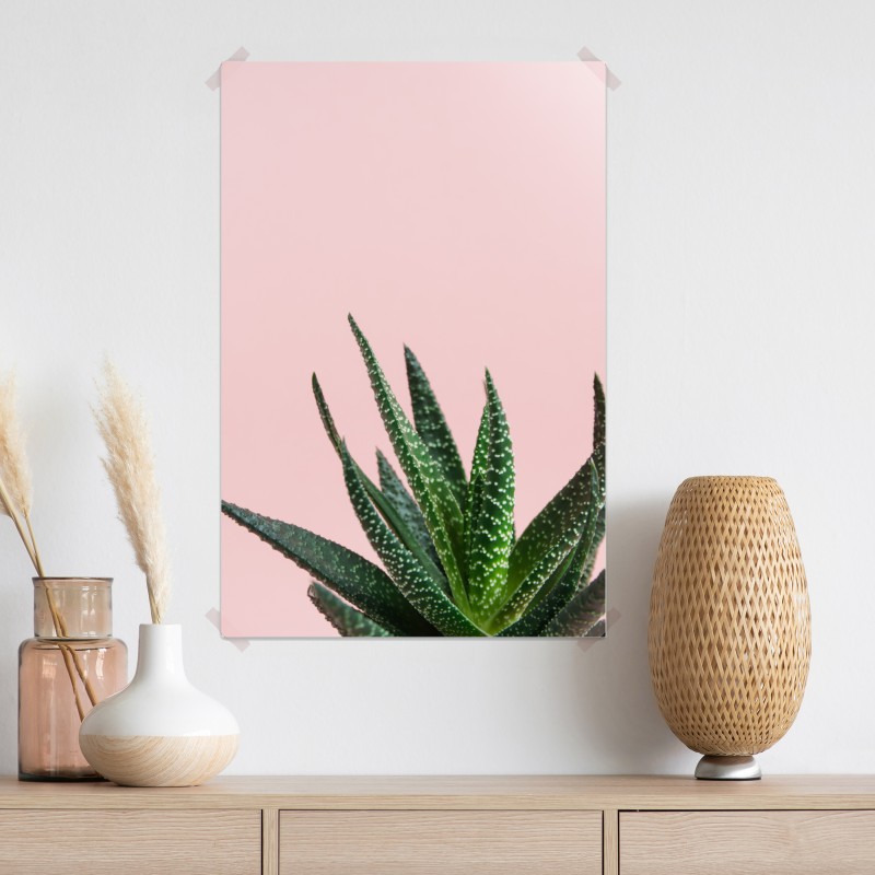 Plakat zielony aloes na różowym tle – Wallissimo® Plakat zielony aloes na różowym tle – Wallissimo®