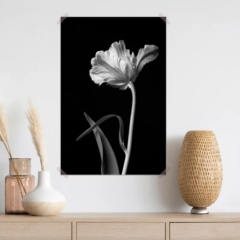 Plakat elegancki monochromatyczny tulipan – Wallissimo® Plakat elegancki monochromatyczny tulipan – Wallissimo®