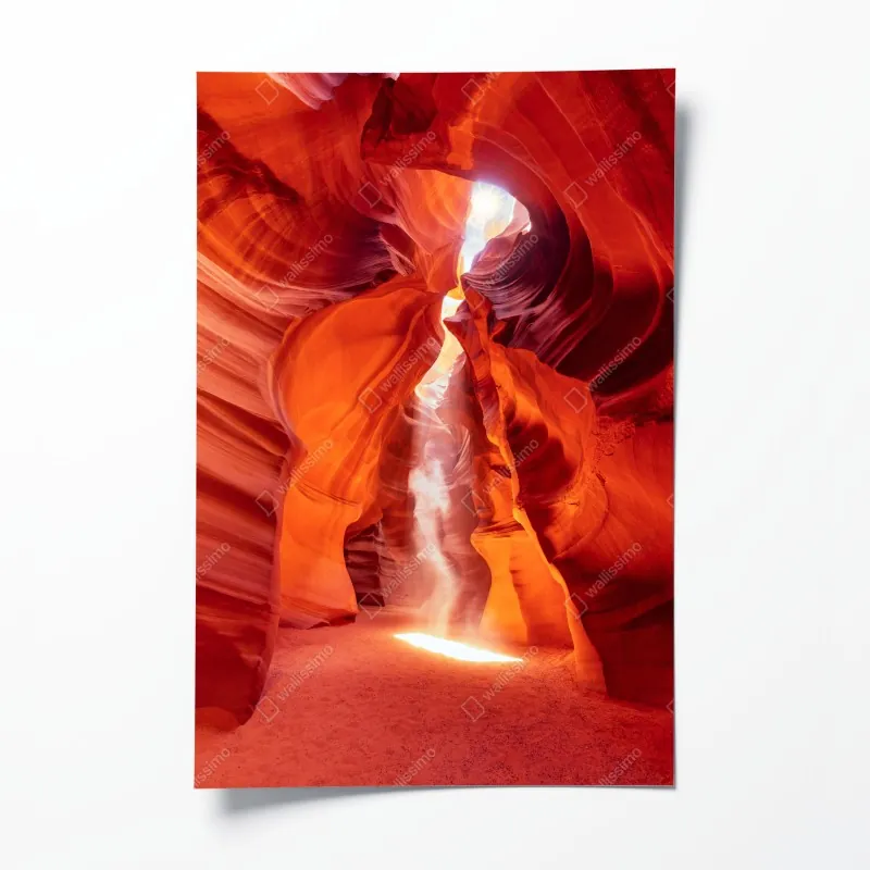 Plakat mglista tropikalna dżungla – Wallissimo®