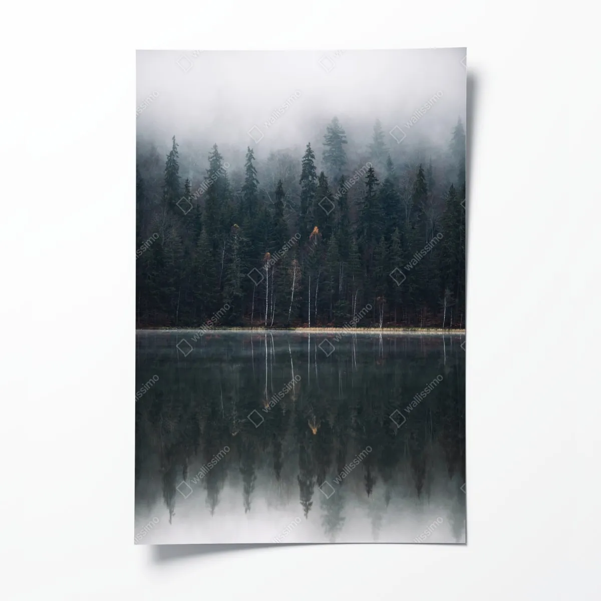 Plakat mglista refleksja w lesie – Wallissimo® Plakat mglista refleksja w lesie – Wallissimo®