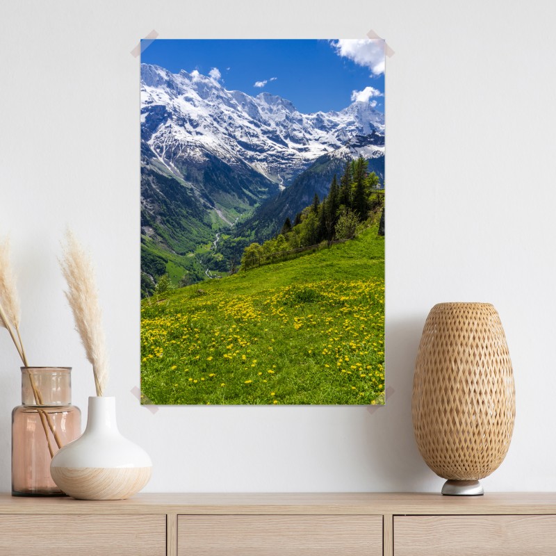 Plakat alpejska łąka wiosną pod ośnieżonymi szczytami