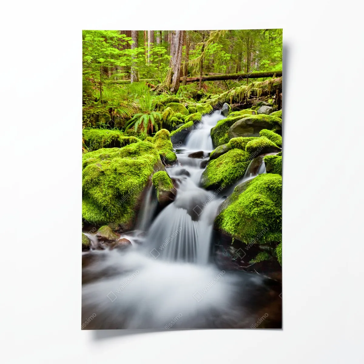 Plakat mechowy strumień przy Sol Duc Falls – Wallissimo® Plakat mechowy strumień przy Sol Duc Falls – Wallissimo®
