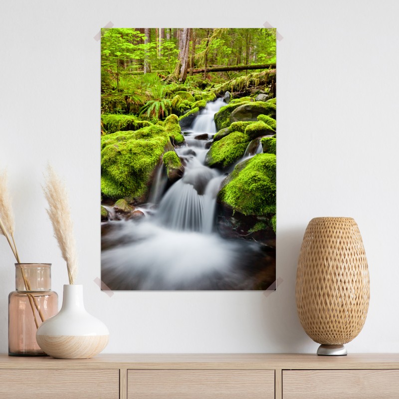 Plakat mechowy strumień przy Sol Duc Falls – Wallissimo® Plakat mechowy strumień przy Sol Duc Falls – Wallissimo®