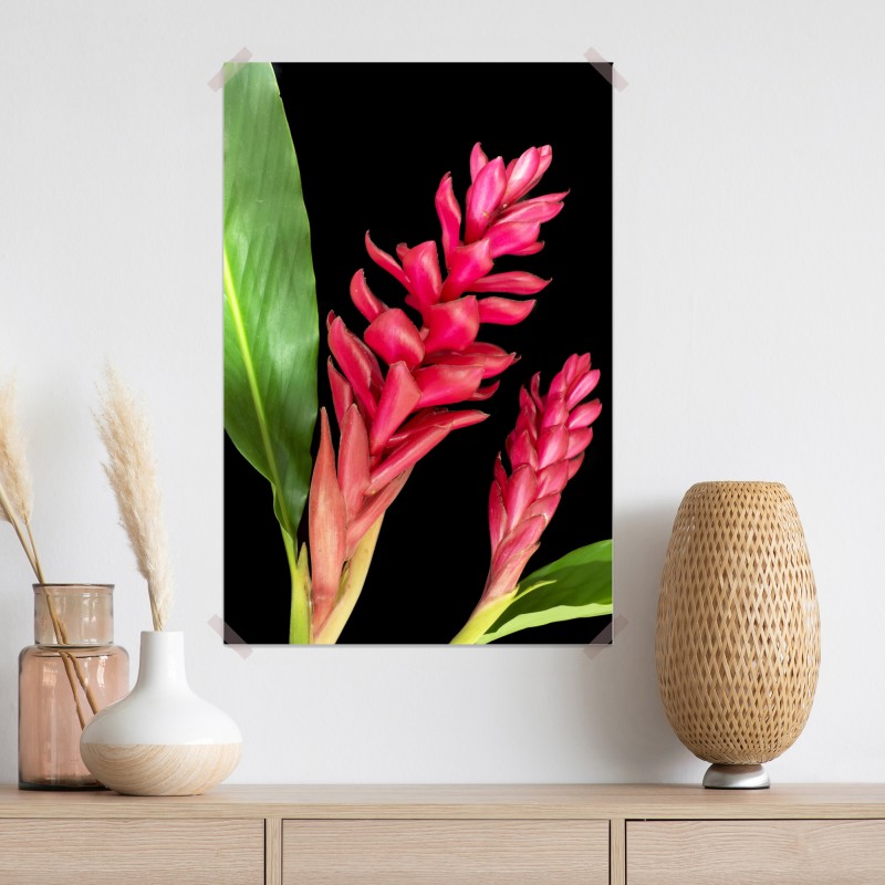 Plakat żywy kwiat ognia na czarnym tle