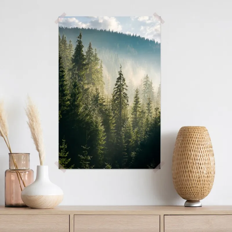 Plakat mglisty świerkowy las w porannym świetle – Wallissimo® Plakat mglisty świerkowy las w porannym świetle – Wallissimo®