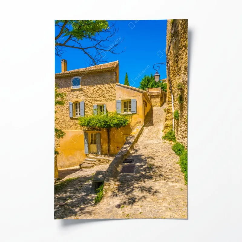 Plakat biały i różowy storczyk na czarnym tle – Wallissimo®