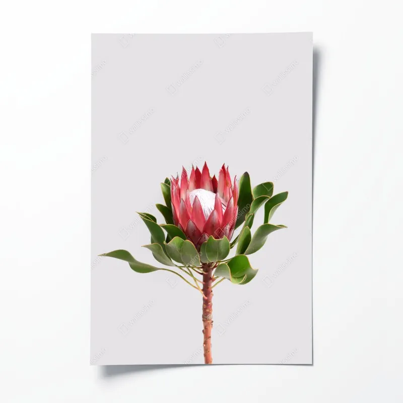 Plakat złoty liść na czarnym tle – Wallissimo®