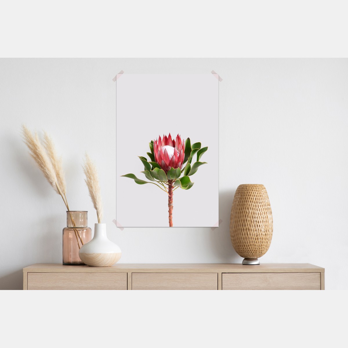 Plakat różowa protea na neutralnym tle – Wallissimo® Plakat różowa protea na neutralnym tle – Wallissimo®