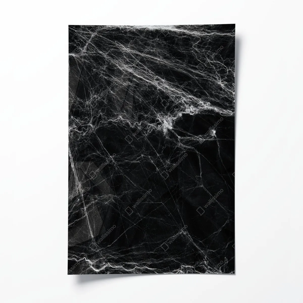 Plakat mroczna pajęczyna na czarnym tle – Wallissimo® Plakat mroczna pajęczyna na czarnym tle – Wallissimo®