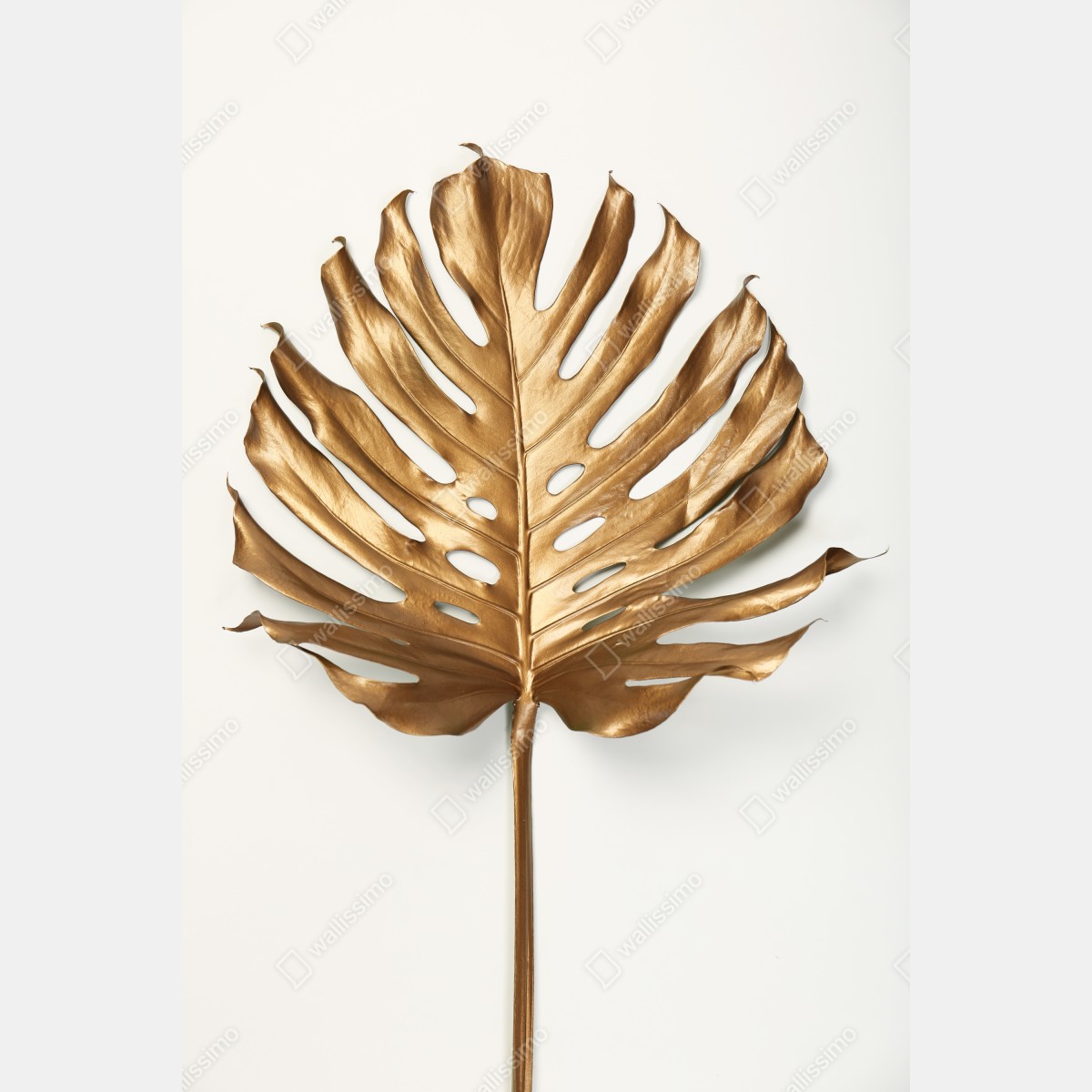 Plakat złoty liść monstera na białym tle – Wallissimo® Plakat złoty liść monstera na białym tle – Wallissimo®