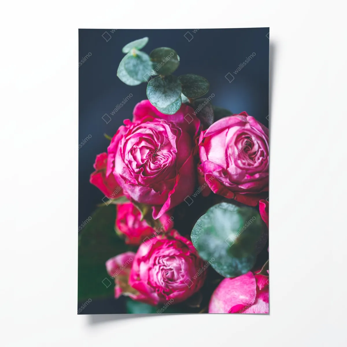 Plakat różany bukiet makro – Wallissimo® Plakat różany bukiet makro – Wallissimo®