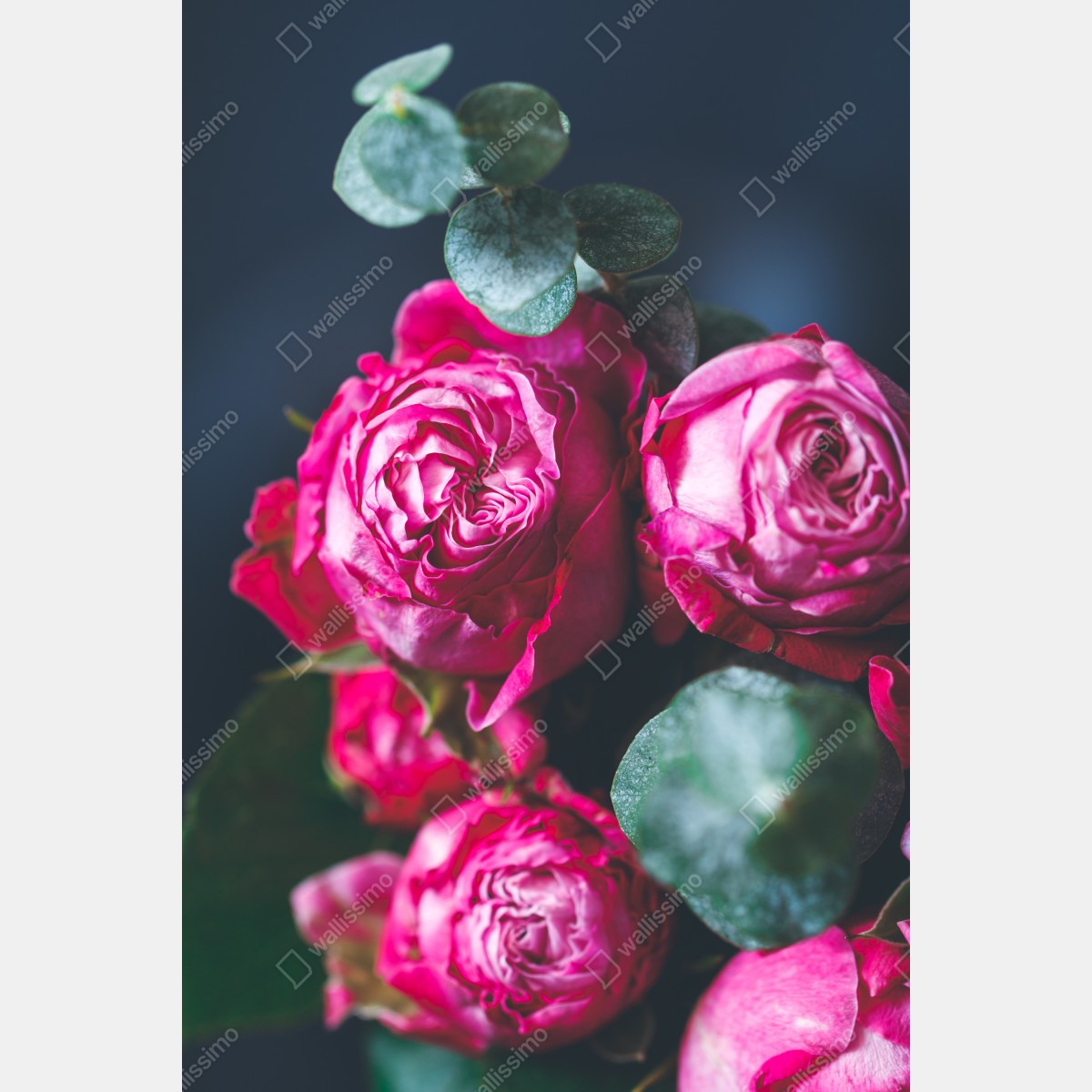 Plakat różany bukiet makro – Wallissimo® Plakat różany bukiet makro – Wallissimo®