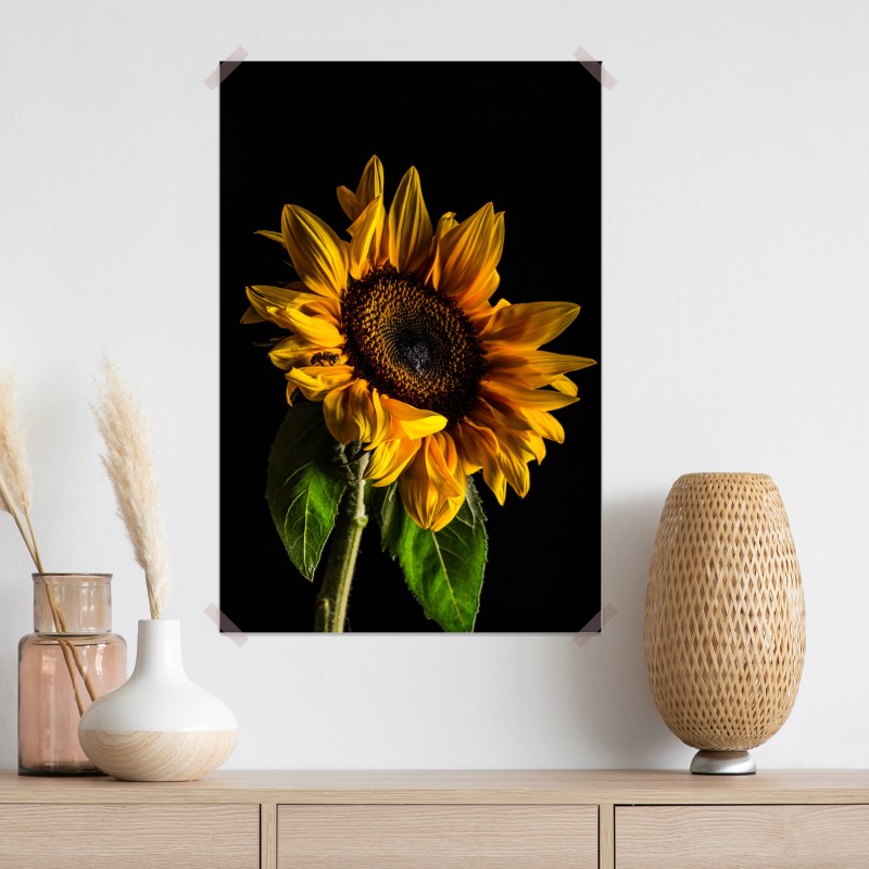 Plakat złoty słonecznik w zbliżeniu