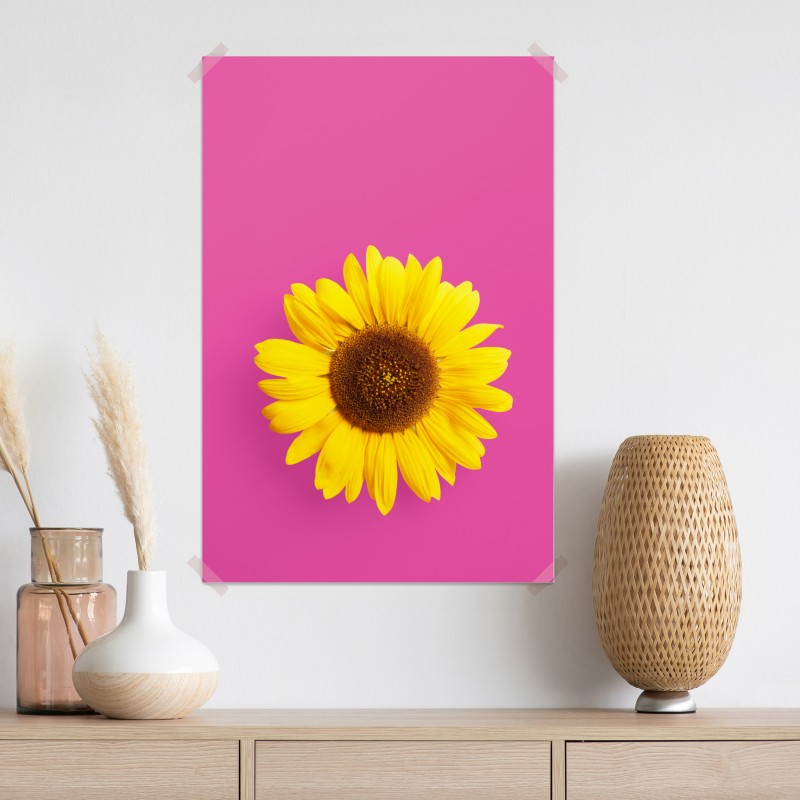 Plakat jasny słonecznik na różowym tle – Wallissimo® Plakat jasny słonecznik na różowym tle – Wallissimo®