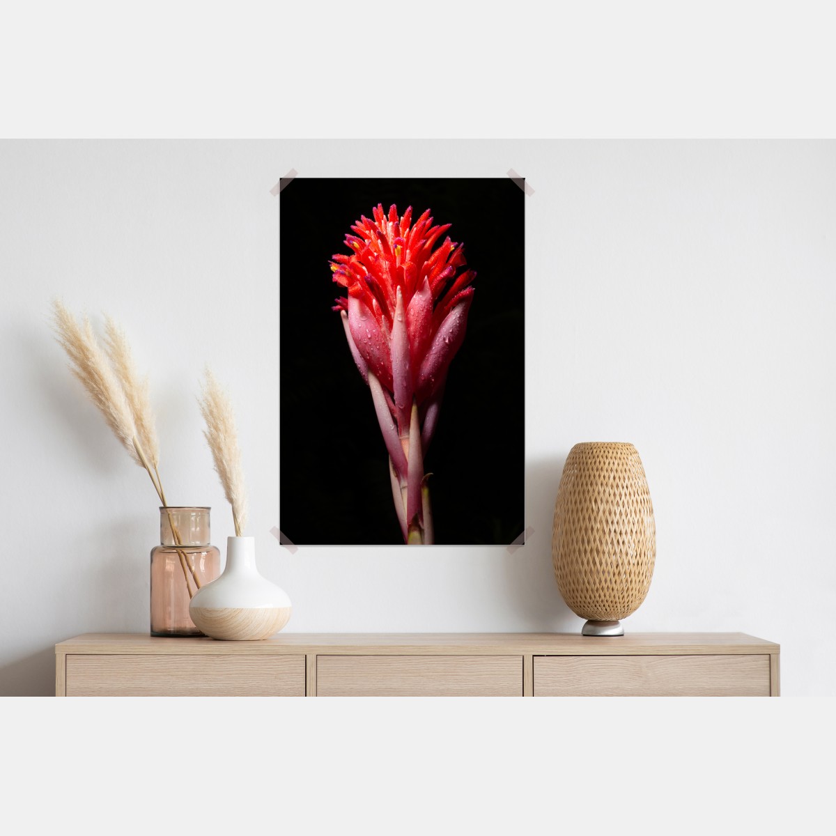 Plakat intensywny różowy kwiat na czarnym tle – Wallissimo® Plakat intensywny różowy kwiat na czarnym tle – Wallissimo®