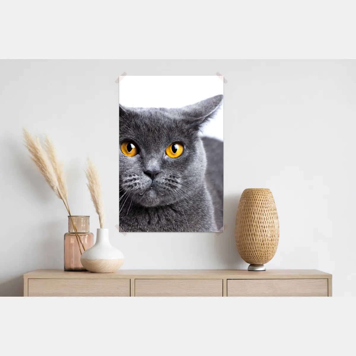 Plakat zachwycający portret szarego kota z złotymi oczami – Wallissimo® Plakat zachwycający portret szarego kota z złotymi oczami – Wallissimo®