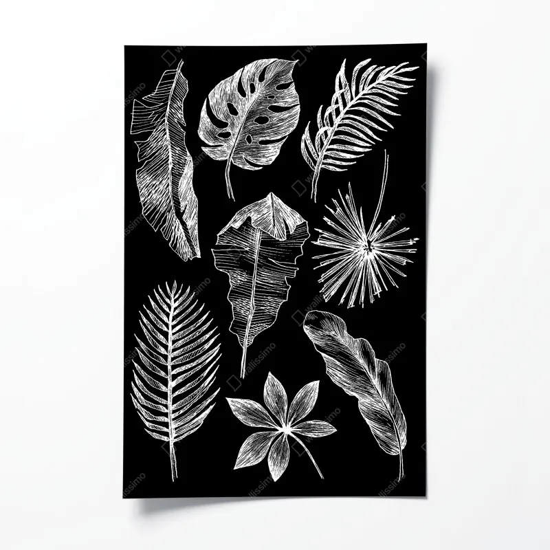 Plakat wzór z kaktusami i sukulentami – Wallissimo®