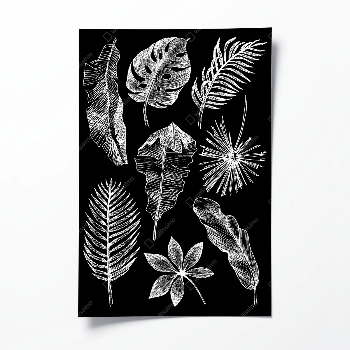 Plakat monochromatyczna kompozycja liści – Wallissimo® Plakat monochromatyczna kompozycja liści – Wallissimo®