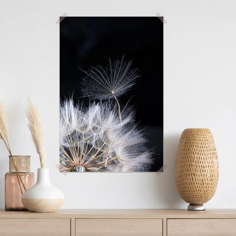 Plakat delikatne ziarno mniszka na czarnym tle – Wallissimo® Plakat delikatne ziarno mniszka na czarnym tle – Wallissimo®