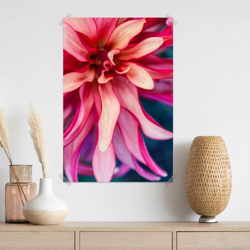 Plakat żywe różowe makro kwiatu – Wallissimo® Plakat żywe różowe makro kwiatu – Wallissimo®