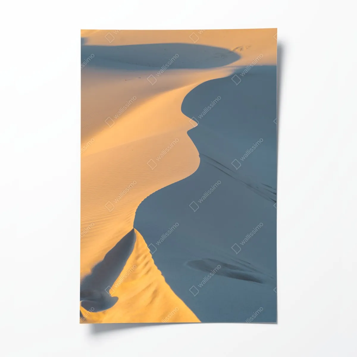 Plakat złote krzywizny wydm – Wallissimo® Plakat złote krzywizny wydm – Wallissimo®