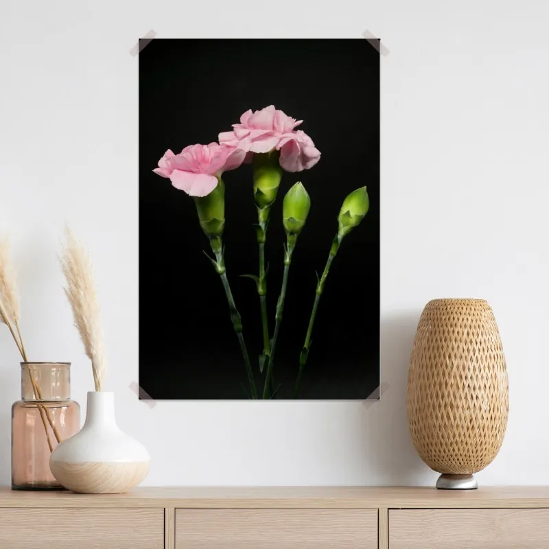 Plakat różowe goździki na czarnym tle – Wallissimo® Plakat różowe goździki na czarnym tle – Wallissimo®