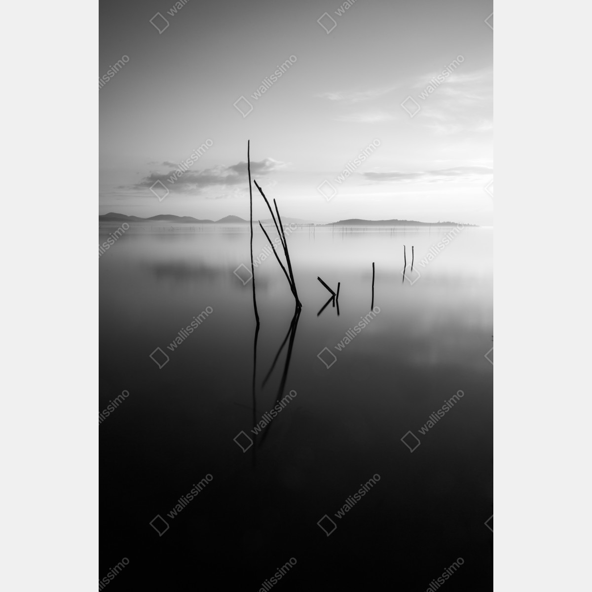 Plakat spokojne monochromatyczne jezioro z odbiciami – Wallissimo® Plakat spokojne monochromatyczne jezioro z odbiciami – Wallissimo®