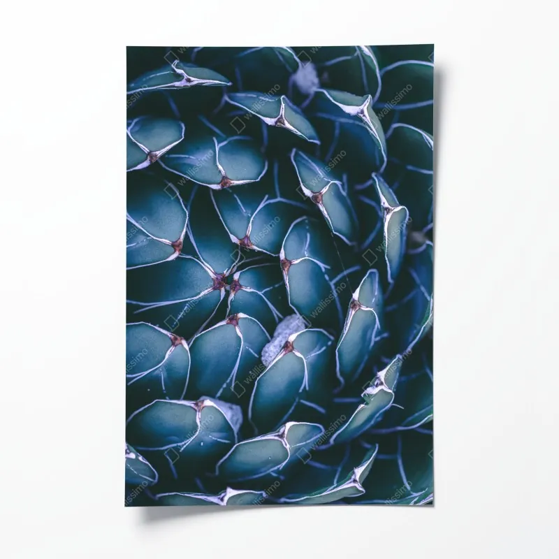 Plakat gęsta ściana czerwonych róż – Wallissimo®