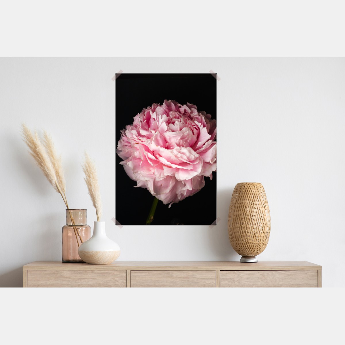 Plakat delikatna różowa piwonia zbliżenie – Wallissimo® Plakat delikatna różowa piwonia zbliżenie – Wallissimo®