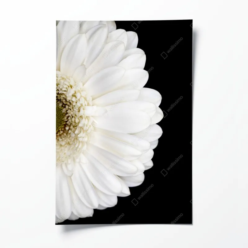 Plakat wzór akwarelowy z borówkami i jeżynami – Wallissimo®