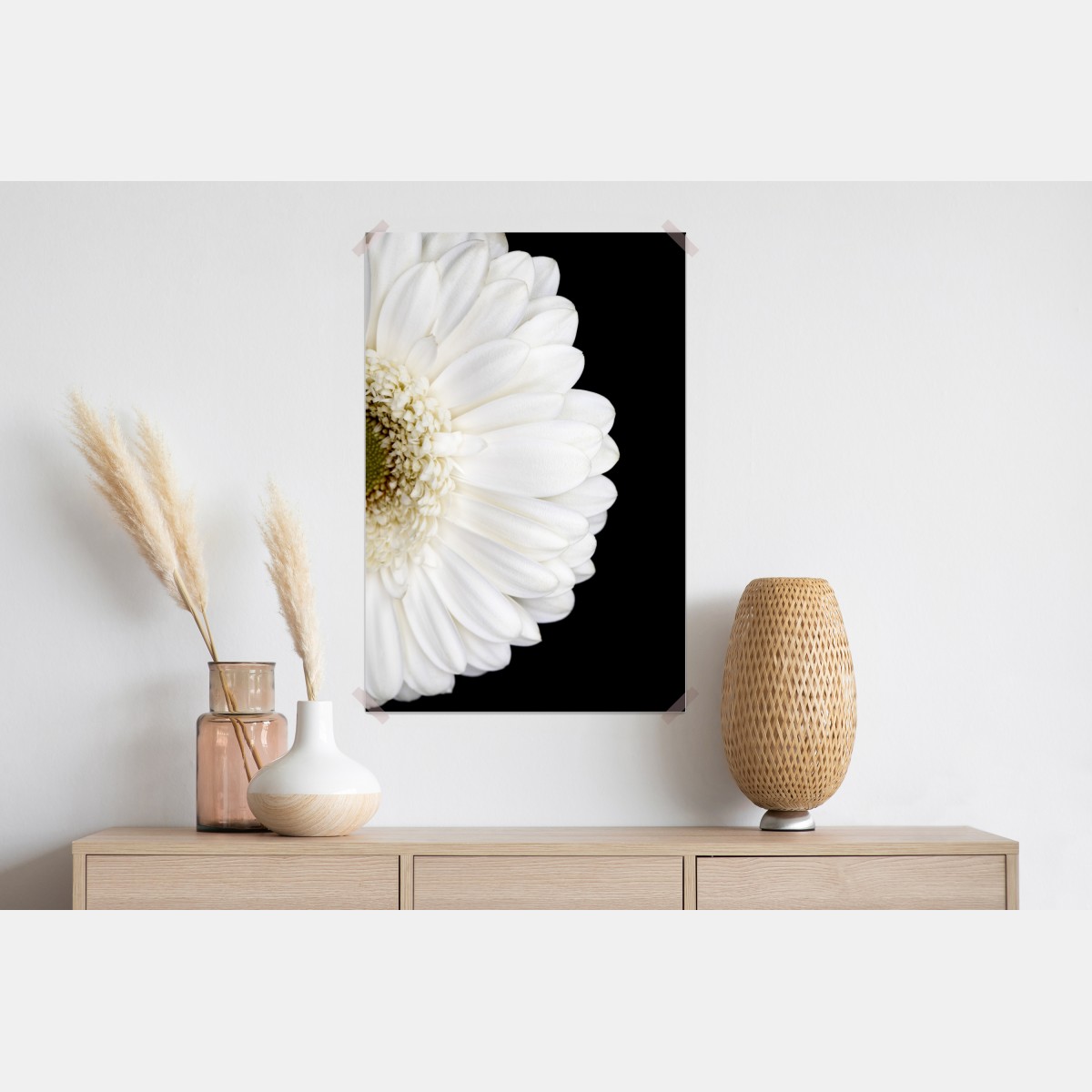 Plakat biała gerbera na czarnym tle minimalistyczne zbliżenie – Wallissimo® Plakat biała gerbera na czarnym tle minimalistyczne zbliżenie – Wallissimo®